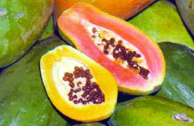 papaya 2