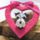 Schnauzer__1909954_8013_t