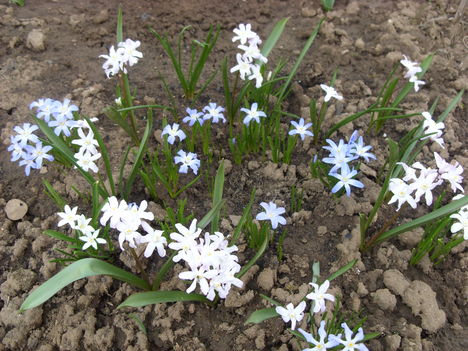 Tavasz 2011