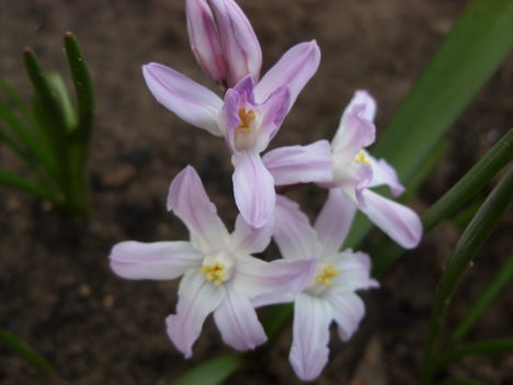 Tavasz 2011