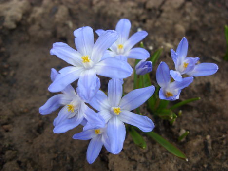 Tavasz 2011