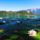 Tavirozsak0158_1909020_6751_t