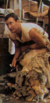 ttb (6)