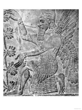 a szent fánál Nimrud