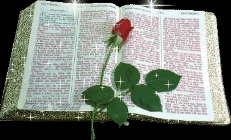 Biblia rózsával
