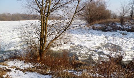 Duna folyam 1847,0 fkm (2), jégtorlasz 2012. február 08.-án