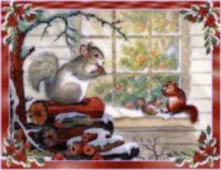téli kép mókussal