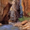 tajkep025 kanyon