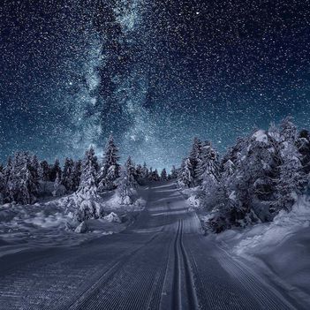 ADVENT