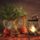 Adventkor_2111739_6224_t