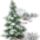 Remenyik_sandor_a_karacsonyfa_megerkezik_2111614_6458_t