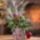 Az_esztendo_fordulojan_2112286_7741_t