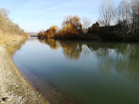 Mosoni-Duna folyó az Elza utca feletti  szakaszon, Mosonmagyaróvár 2019.12.08.-án