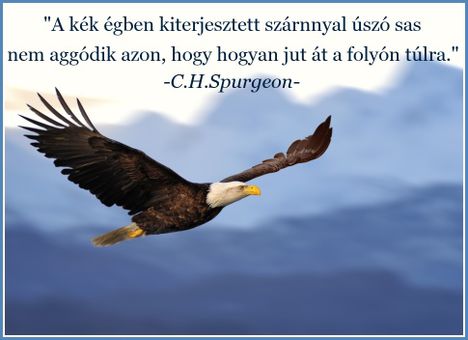 Bizalom