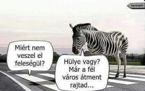 Csélcsap!