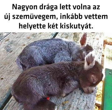 Drága!