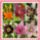 Liliomok_a_kertunkbol-003_2113535_7519_t