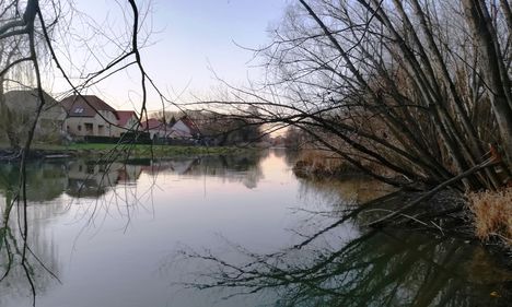 Mosoni-Duna folyó a mosoni, Rév utca melletti szakaszon, Mosonmagyaróvár 2020.01.11.-én