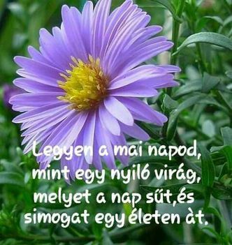 Nap!