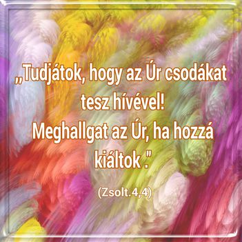 Az Úr csodákat tesz hívével