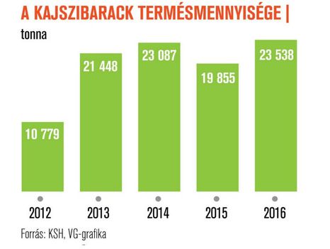 Kajszi 2012-2016