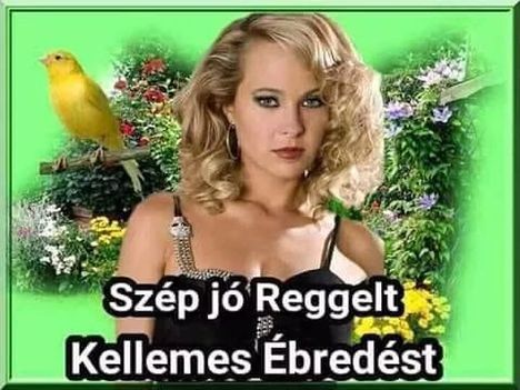 Reggelt!