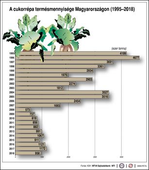 Cukorrépa termés 1995-2018