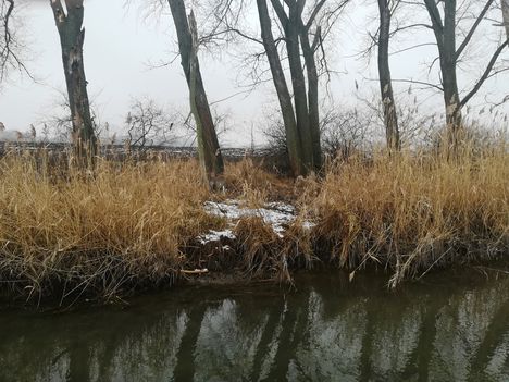Zsejkei csatorna a mentett oldali vízpótlórendszer részeként kap vízpótlást, Hédervár 2019.01.25.-én 4