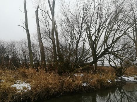 Zsejkei csatorna a mentett oldali vízpótlórendszer részeként kap vízpótlást, Hédervár 2019.01.25.-én 6