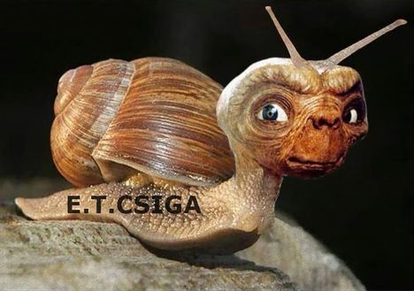 E.T. !