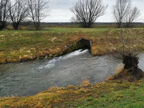 Lajta (Leitha) folyó a Nickelsdorfi osztóműnél 2020. március 03 (1)