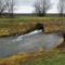 Lajta (Leitha) folyó a Nickelsdorfi osztóműnél 2020. március 03 (1)