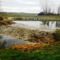 Lajta (Leitha) folyó a Nickelsdorfi osztóműnél 2020. március 03 (2)