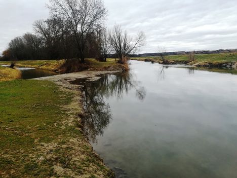 Lajta (Leitha) folyó a Nickelsdorfi osztóműnél 2020. március 03 (4)