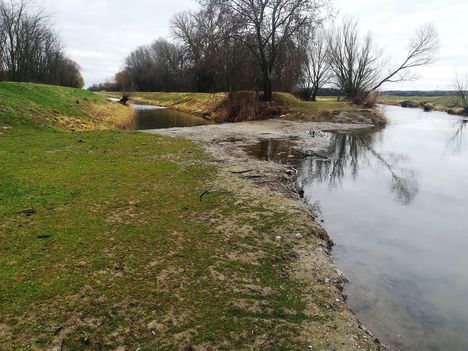 Lajta (Leitha) folyó a Nickelsdorfi osztóműnél 2020. március 03 (5)