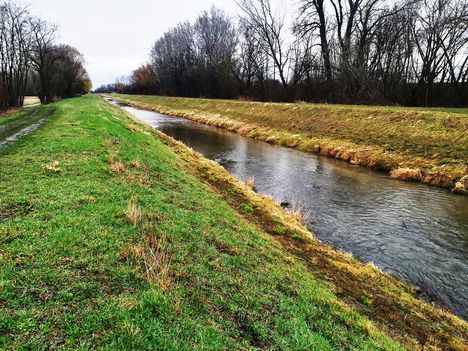 Lajta (Leitha) folyó Bal parti csatornája a a Nickelsdorfi osztóműnél 2020. március 03 (3)