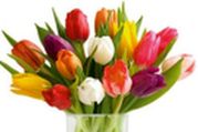 tulipancsokor_1515049_6789_n