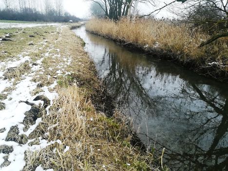 Zsejkei csatorna a mentett oldali vízpótlórendszer részeként kap vízpótlást, Lipót 2019.01.25.-én 1
