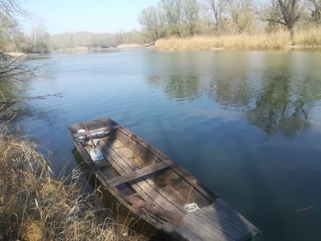 Csákányi Duna-ág, Dunasziget 2020. március 20.-án 2