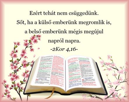 Ige a mai napra 