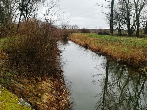 Kis-Lajta torkolati szakasza, Nickelsdorf 2020.03.03.-án