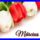 Marcius_idusa_2117164_3915_t