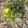 Salata_boglarka_a_szigetkozben_20200320an_1_2117606_7550_t