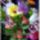 Szep_napot_vigyazzatok_magatokra__2117468_1967_t