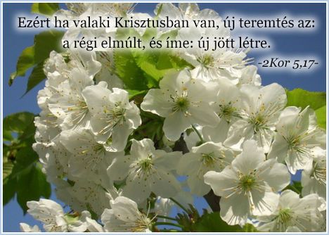 Ige a mai napra 