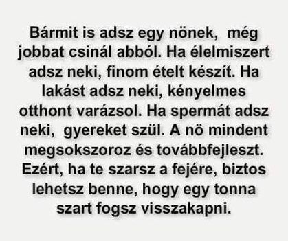 Bármi!