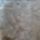 Nofertiti-040_2119977_3343_t