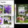Orchideak_2119104_6868_t