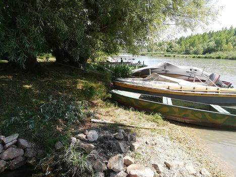 A térségi talajvíz kis forrásként táplálja a Mosoni-Duna vizét Novákpusztánál, Kimle 2019. július 24.-én 3