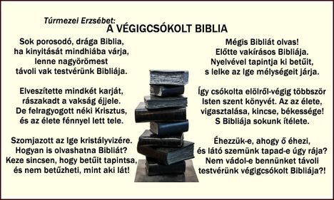 A VÉGIGCSÓKOLT BIBLIA
